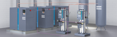 _ZT_MED_Air_Plant_web_banner.png
